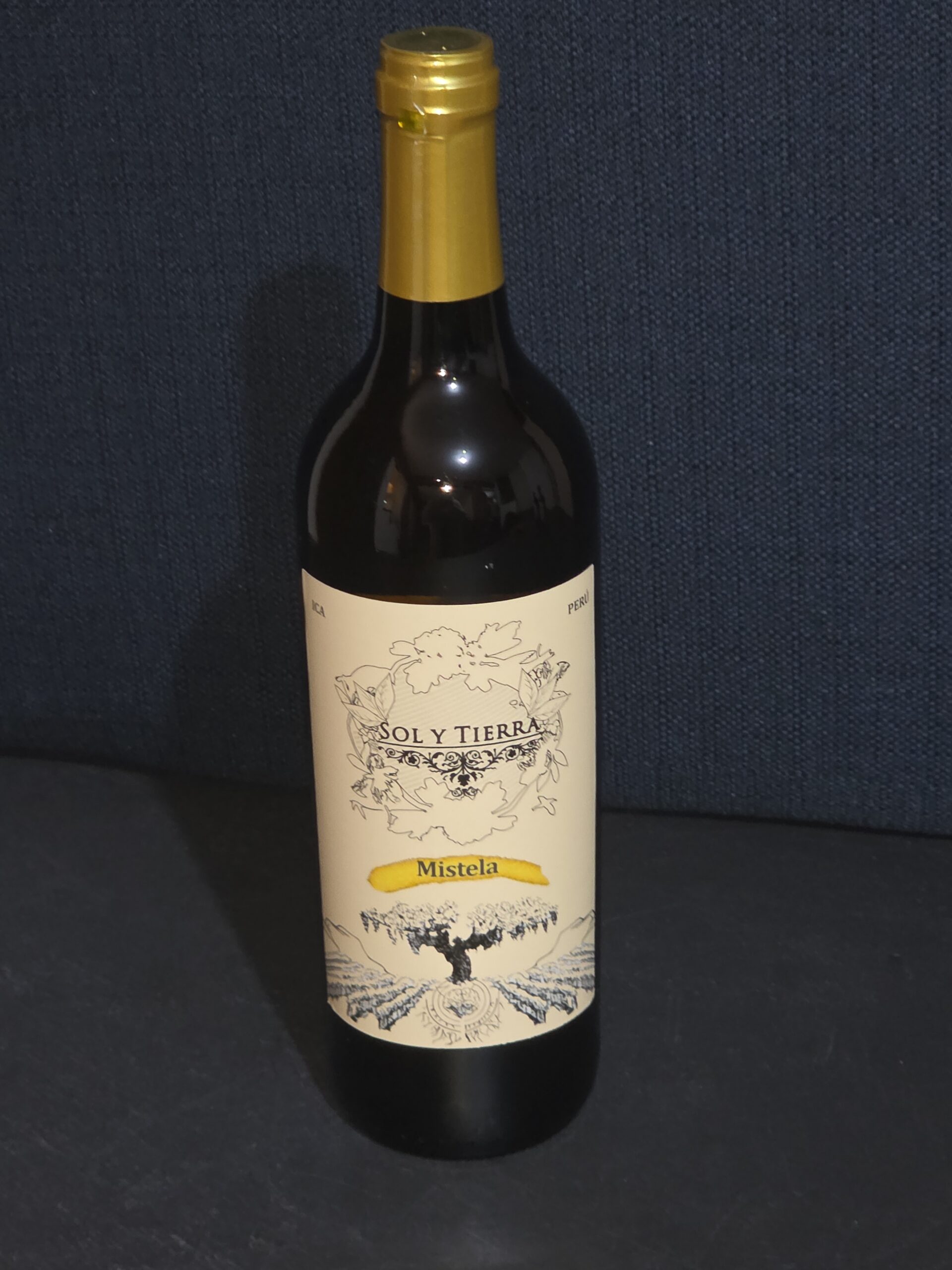 VINO SOL Y TIERRA MISTELA X 750 ML